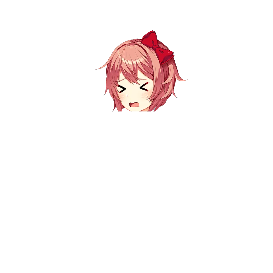 图 2.5 p.png