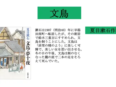 Cover Image of the Post