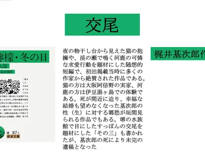 Cover Image of the Post